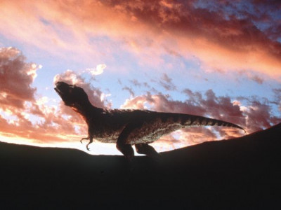 at sea scientists drill into crater for dino clues at sea scientists drill into crater for dino clues