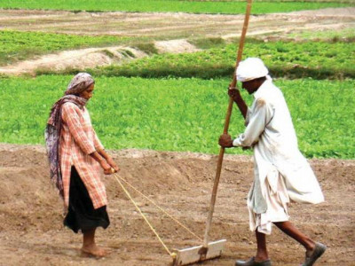 fertiliser subsidy sc seeks govt reply on kissan package legality fertiliser subsidy sc seeks govt reply on kissan package legality