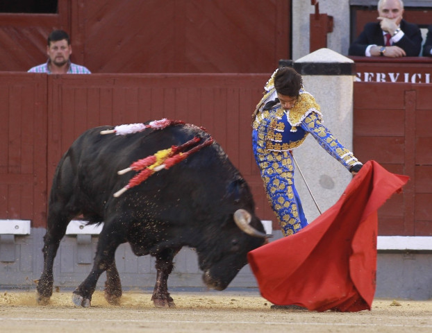 spanish matador alejandro talavante performs a pass on a bull during the san isidro feria at las ventas bullring in madrid on may 18 2016 photo afp spanish matador alejandro talavante performs a pass on a bull during the san isidro feria at las ventas bullring in madrid on may 18 2016 photo afp