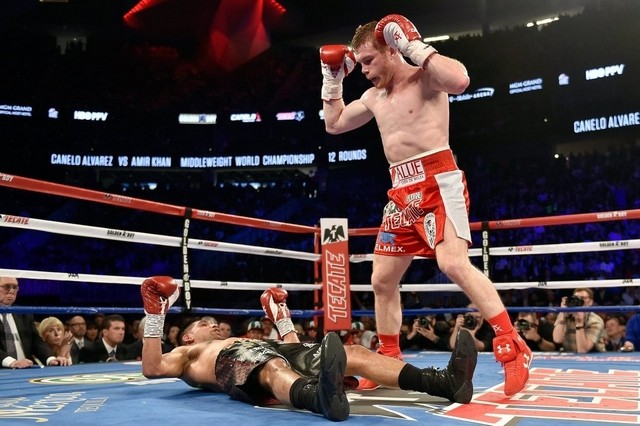 saul 039 canelo 039 alvarez stands over stricken amir khan during their las vegas bout on may 7 2016 photo afp