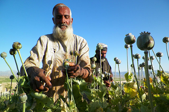 according to residents many of the labourers in naqil were taliban fighters photo afp