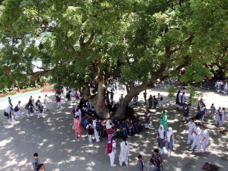 initially the summer vacations for schools were supposed to be from june 1 to july 31 however the schools were closed early in may due to the severe heat wave in sindh photo file