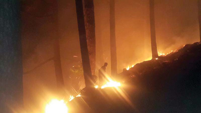 a fire erupted in a forest in bara gali abbottabad destroying several acres of land photo express