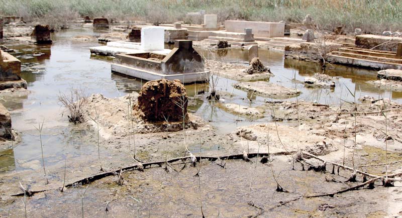 human remains can be found floating in sewage water at this graveyard in district east s sachal goth while a foul stench prevails in the air photo aysha saleem express