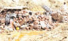 labourer loses 7 goats after gas company wall collapses
