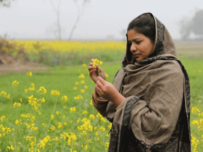 pakistani filmmaker wins gold medal at new york festivals pakistani filmmaker wins gold medal at new york festivals