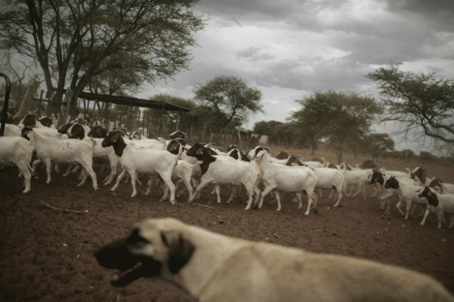 photo afp photo afp