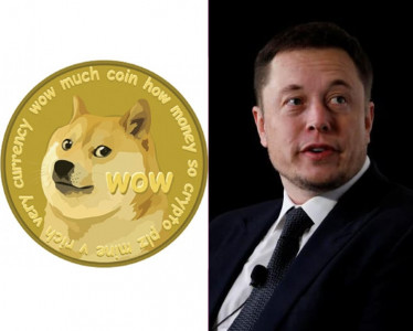 musk asks twitter users if they want tesla to accept dogecoin