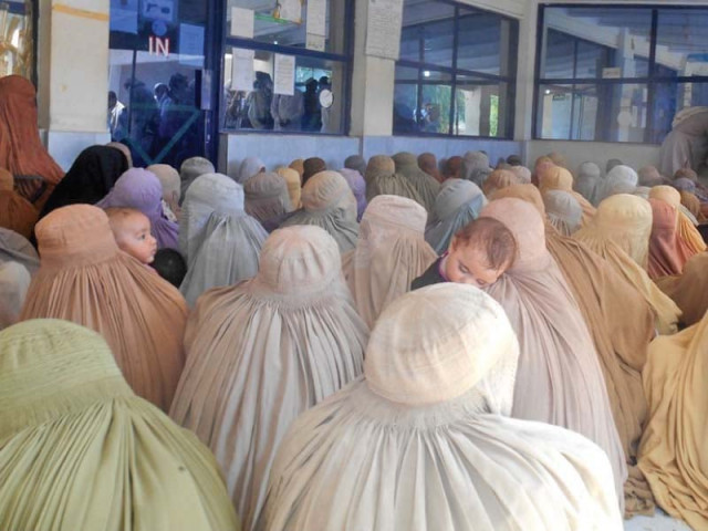 people at a nadra office photo express people at a nadra office photo express