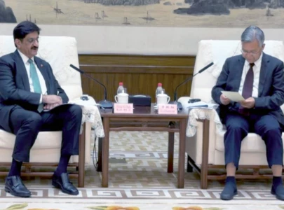 sindh hubei explore cooperation opportunities