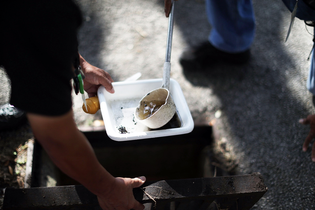 florida health officials indicate the statewide total of people infected by the disease is 158 with all of florida 039 s cases being acquired by people traveling outside the country photo afp