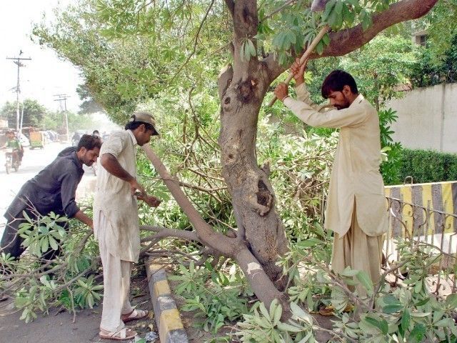 residents held peaceful rally to protest cutting of trees in karachi photo express