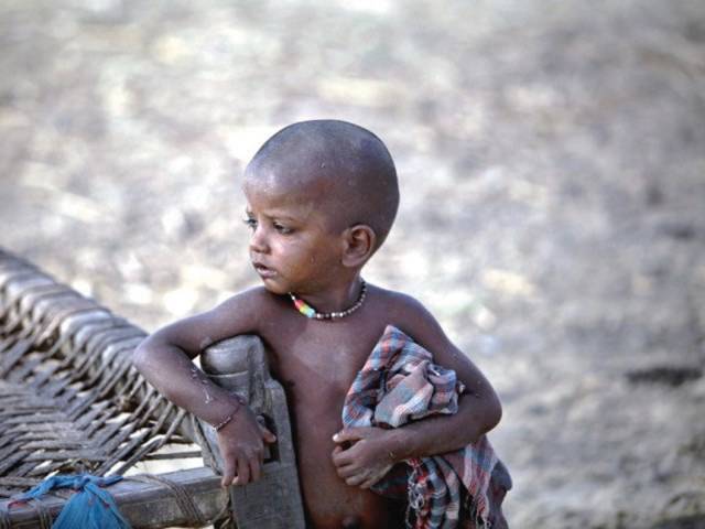 half of all children are malnourished sun academia and research network launched photo afp