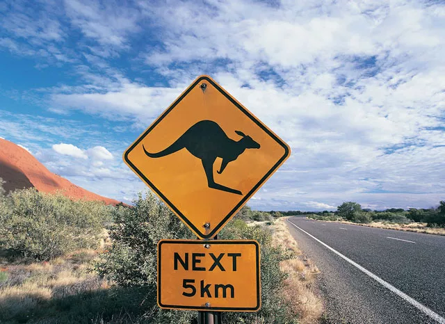 a kangaroo jumped onto a woman cycling in south australia rupturing her breast implants and using her as a quot little airbag quot she told local media tuesday photo thesun a kangaroo jumped onto a woman cycling in south australia rupturing her breast implants and using her as a quot little airbag quot she told local media tuesday photo thesun