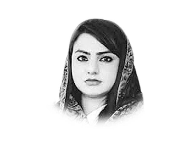 the writer is a pml n mna the writer is a pml n mna