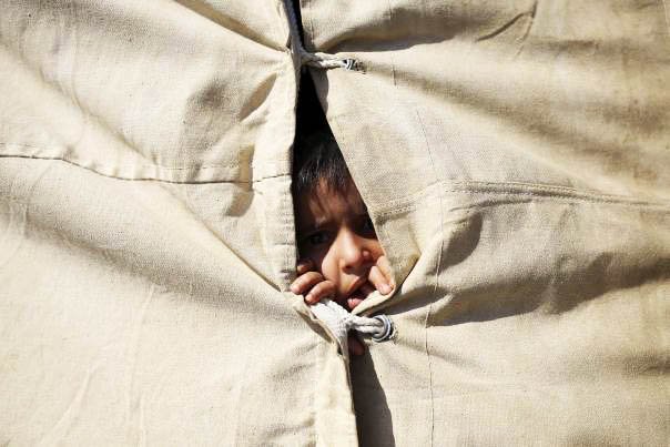 a displaced iraqi child who fled from islamic state violence in anbar looks out from inside an tent at a refugee camp near amiriyat al fallujah photo reuters