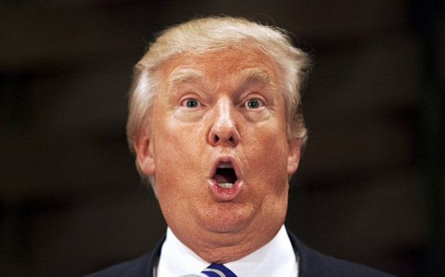 us republican presidential candidate donald trump addresses the crowd at the south carolina african american chamber of commerce in north charleston photo reuters