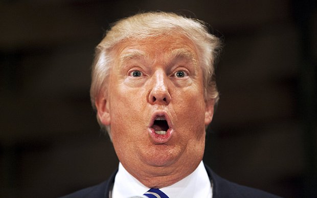 us republican presidential candidate donald trump addresses the crowd at the south carolina african american chamber of commerce in north charleston photo reuters