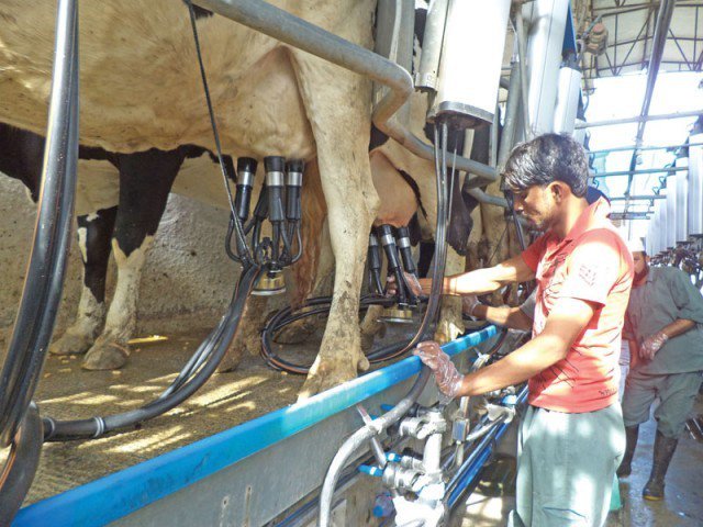 conference on milk organised photo farooq baloch express