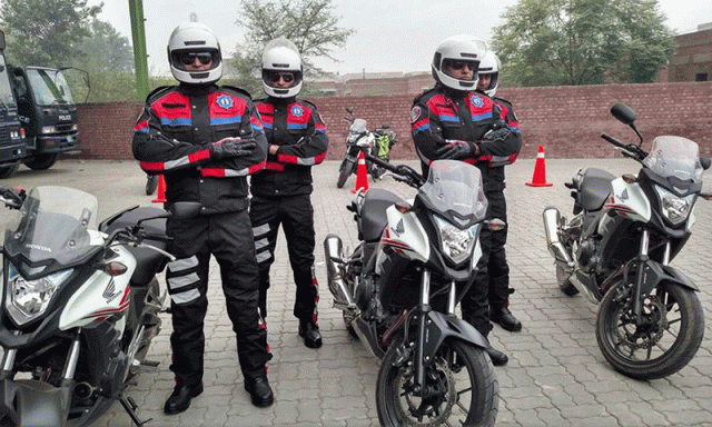 lahore dolphin force photo facebook lahore dolphin force photo facebook