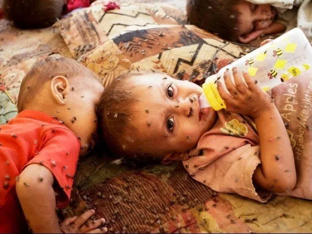 the provincial government and unicef will implement the project photo afp the provincial government and unicef will implement the project photo afp