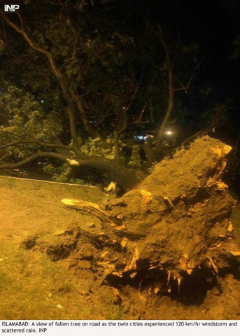 a fallen tree in islamabad following a storm on wednesday photo inp a fallen tree in islamabad following a storm on wednesday photo inp