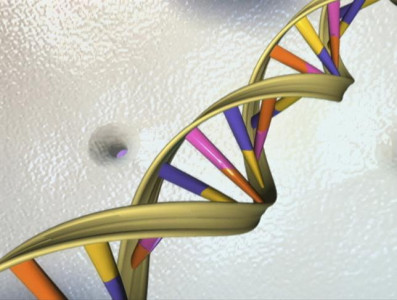 pakistan sequences genome of medically important fly pakistan sequences genome of medically important fly