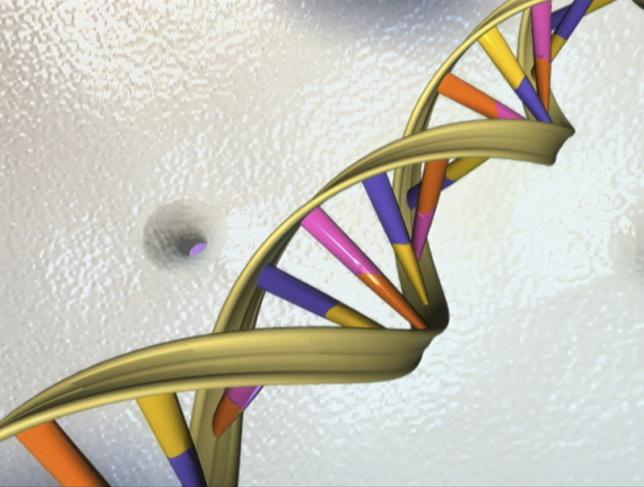 a dna double helix is seen in an undated artist 039 s illustration released by the national human genome research institute to reuters on may 15 2012 photo reuters