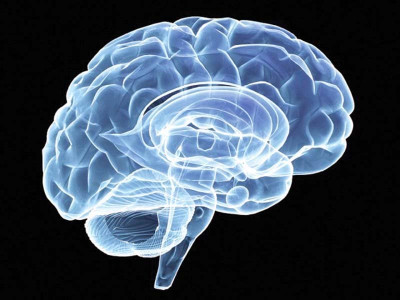 did you know forgetting may be good for memory