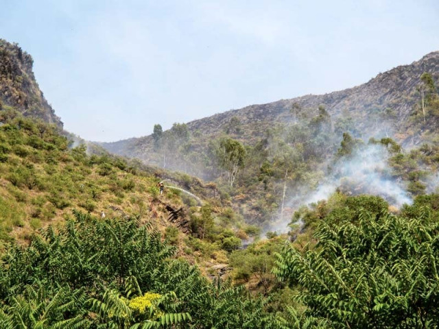 smoke billows from the site of fire photo express smoke billows from the site of fire photo express