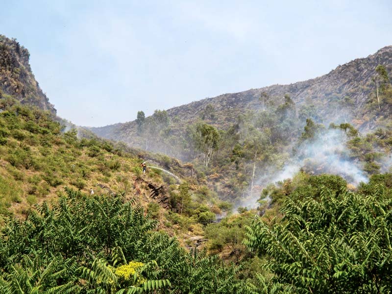 smoke billows from the site of fire photo express