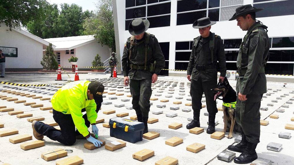 this handout picture released by the colombian police shows 1 056 kilos of cocaine seized in a warehouse on the outskirts of santa marta on the colombian caribbean on june 4 2016 the drug was ready to be hidden in a shipment of bananas to send to the port of rotterdam in the netherlands and allegedly belonged to the colombian criminal gang clan usuga police said saturday afp photo