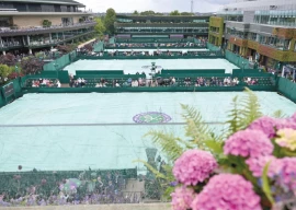 murray saluted in defeat djokovic wins