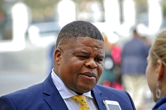 south african state security minister david mahlobo photo afp