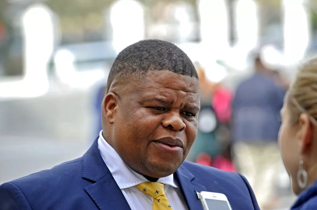south african state security minister david mahlobo photo afp south african state security minister david mahlobo photo afp