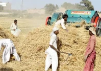 abolishing wheat sale limit to build farmers confidence