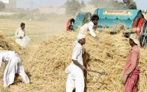 abolishing wheat sale limit to build farmers confidence