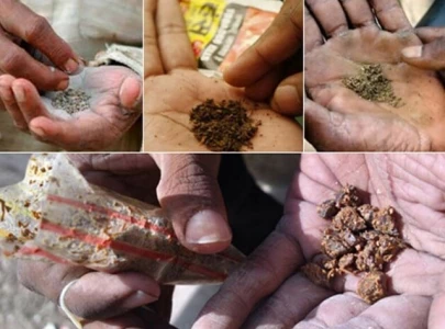 paan gutka driving mouth cancer rise among youth