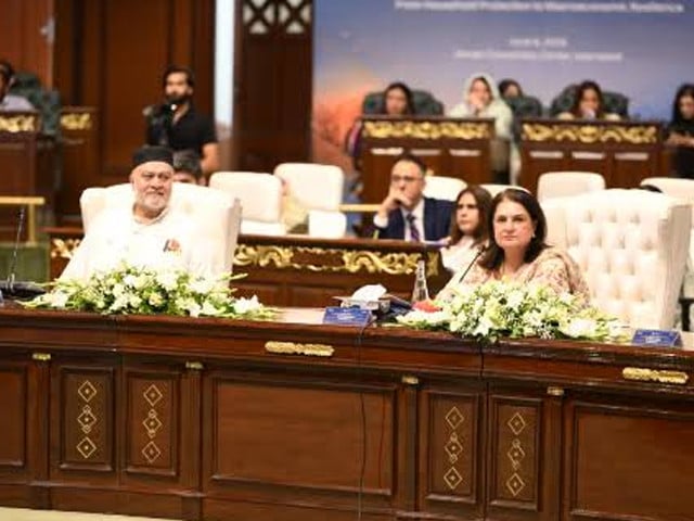 BISP claims strong multiplier: Rs1 yields Rs2.34 activity