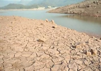 water starved canals leave farmland barren water starved canals leave farmland barren