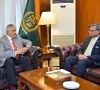 fm dar calls for saarc revitalisation