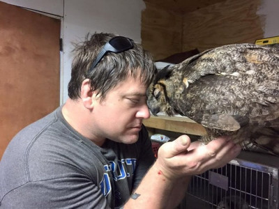 owl gives heartfelt hug to man who saved her