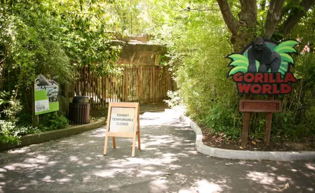 the entrance to the the cincinnati zoo 039 s gorilla world exhibit is closed two days after a boy tumbled into its moat and officials were forced to kill harambe a western lowland gorilla in cincinnati ohio us may 30 2016 photo reuters the entrance to the the cincinnati zoo 039 s gorilla world exhibit is closed two days after a boy tumbled into its moat and officials were forced to kill harambe a western lowland gorilla in cincinnati ohio us may 30 2016 photo reuters