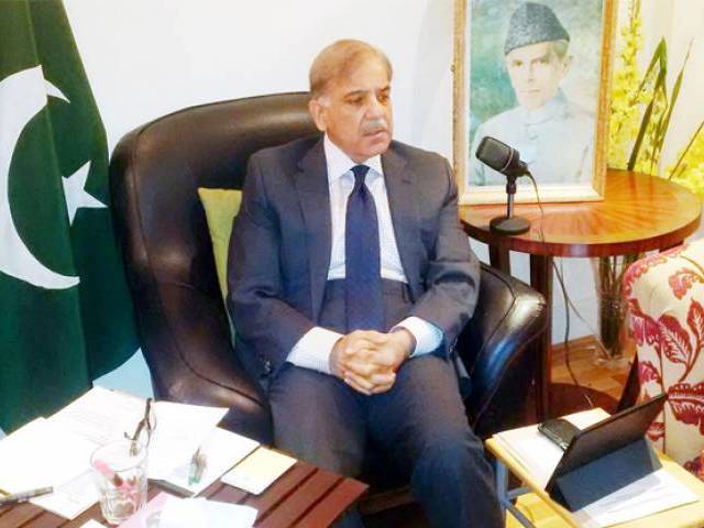 chief minister shahbaz sharif chairing a meeting via video link photo inp file