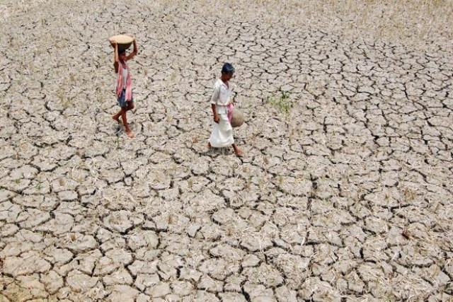 india is in the grip of its worst water crisis in years with 330 million people suffering from drought photo afp