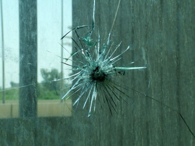 lizards and target killers