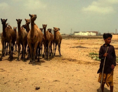 the screenshot flying rickshaw