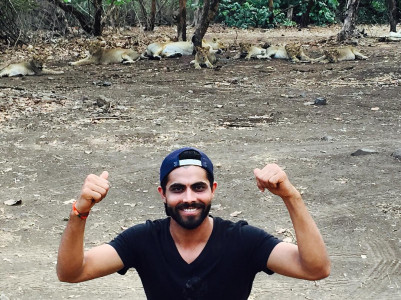 indian cricketer ravindra jadeja faces probe over lion selfie