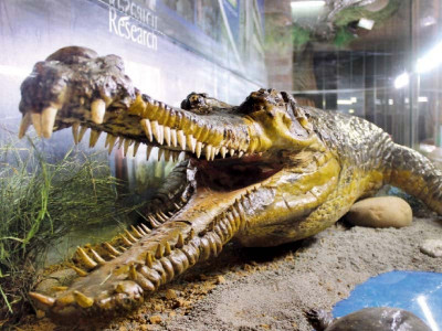 a bite of history a bite of history