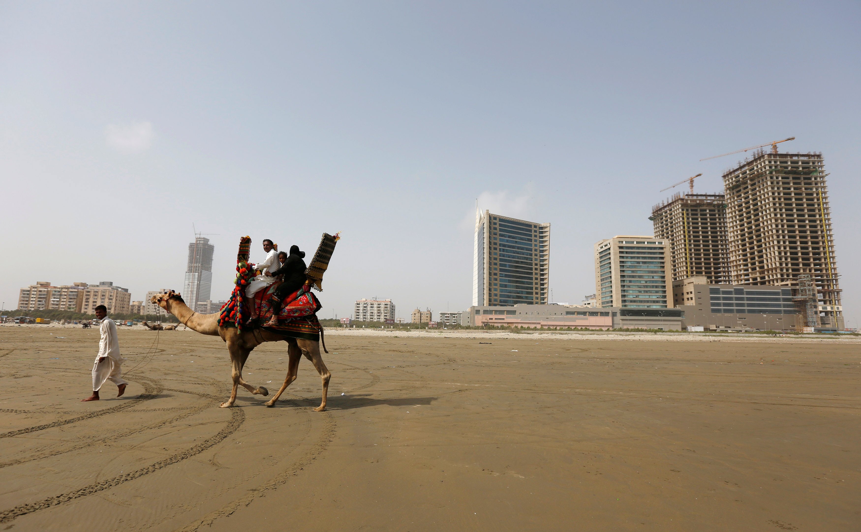 ban on horse and camel riding on sea view beach challenged